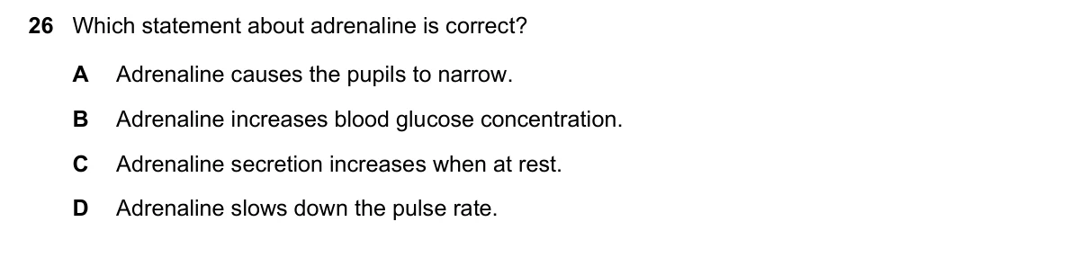 Question 26, March 2019, 0610 Paper 22