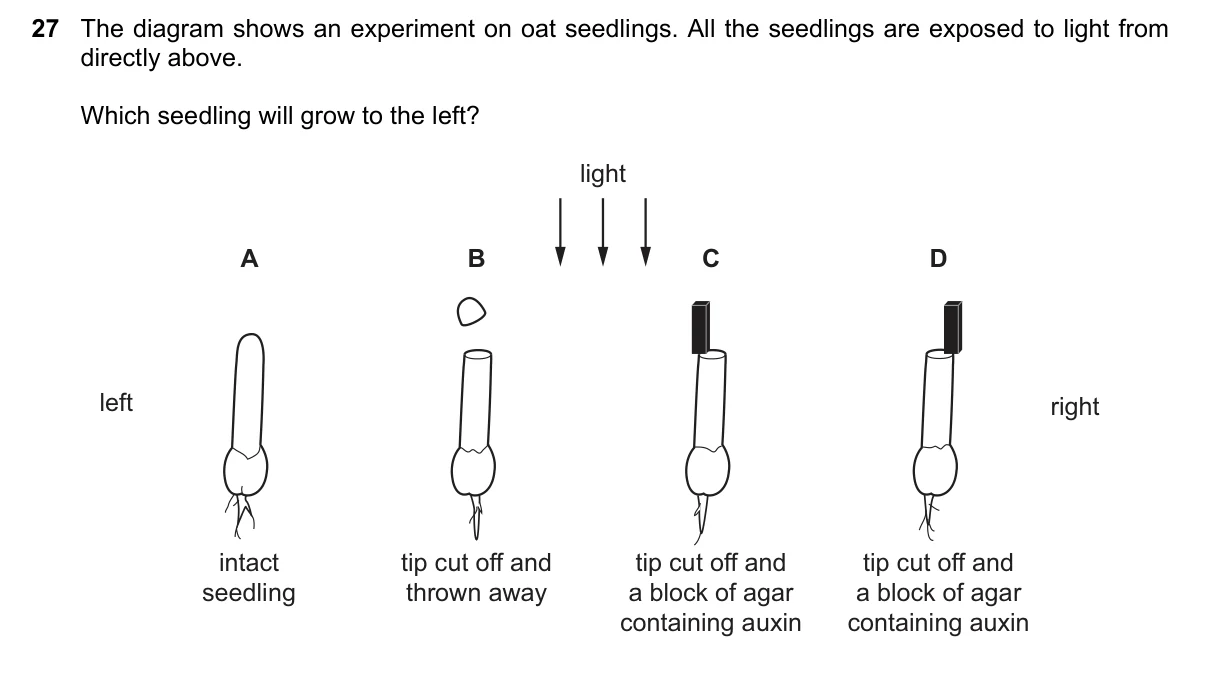 Question 27, March 2019, 0610 Paper 22