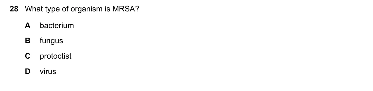 Question 28, March 2019, 0610 Paper 22