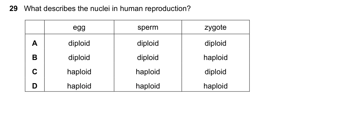 Question 29, March 2019, 0610 Paper 22