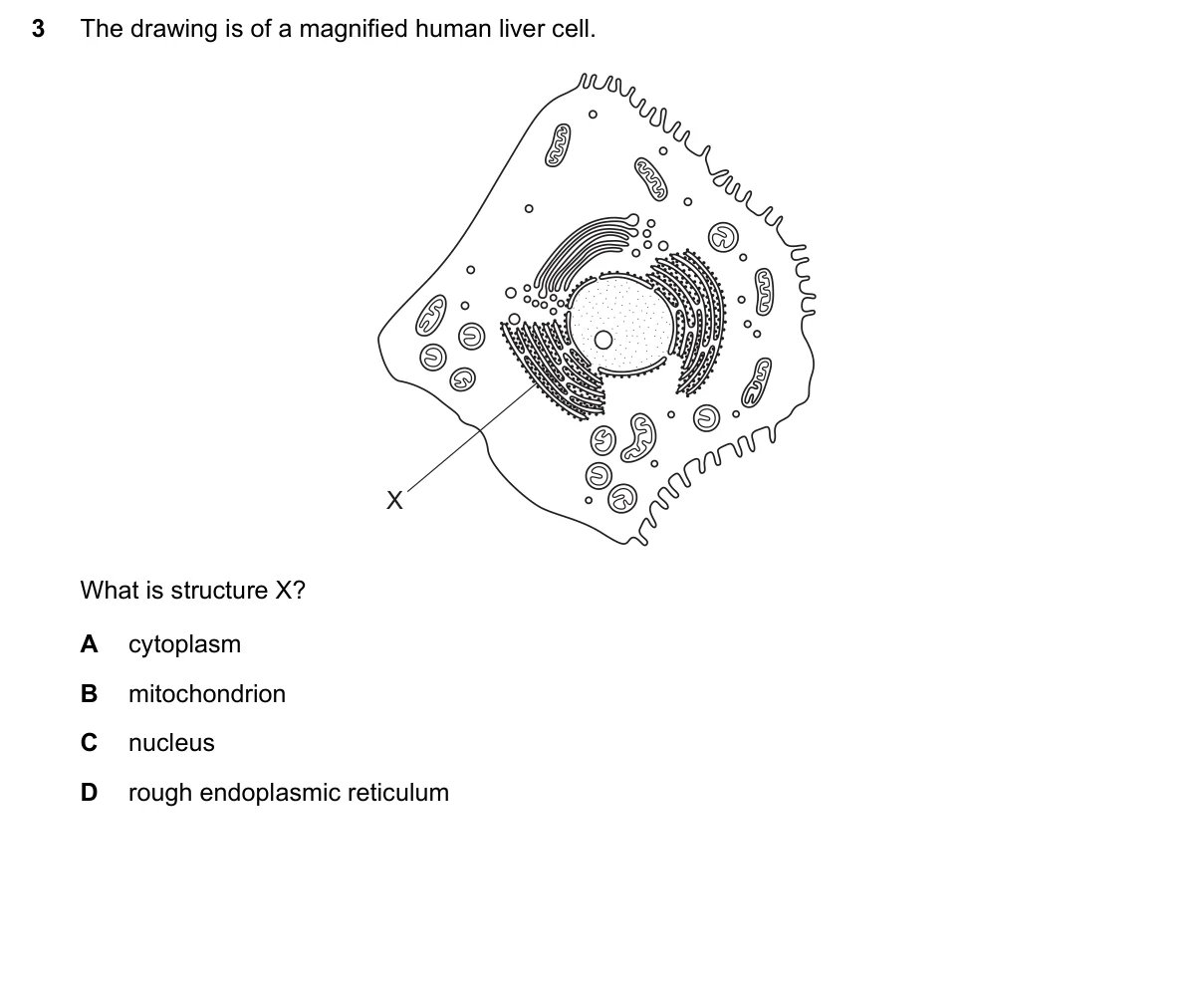 Question 3, March 2019, 0610 Paper 22