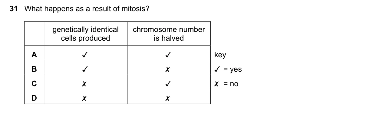 Question 31, March 2019, 0610 Paper 22