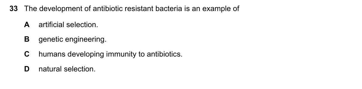 Question 33, March 2019, 0610 Paper 22
