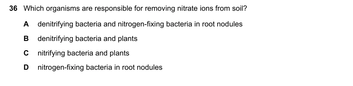 Question 36, March 2019, 0610 Paper 22