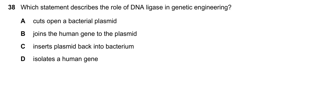 Question 38, March 2019, 0610 Paper 22