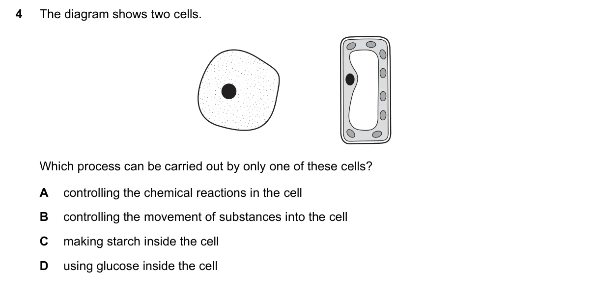Question 4, March 2019, 0610 Paper 22