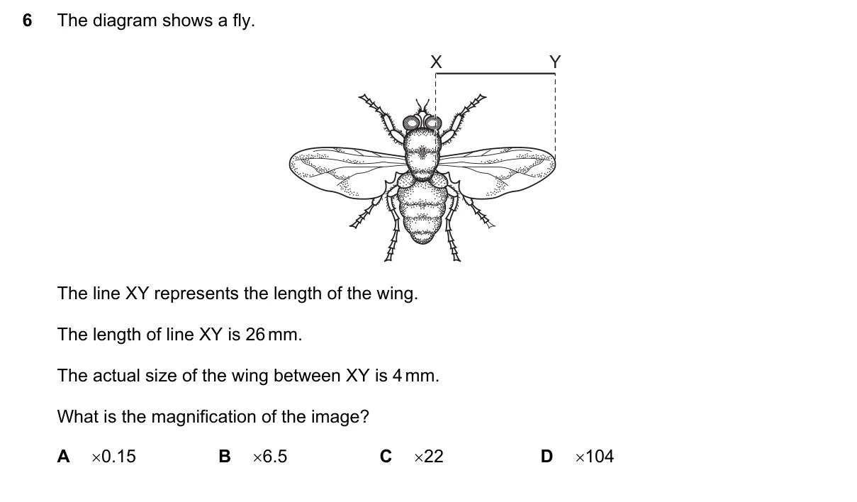 Question 6, March 2019, 0610 Paper 22
