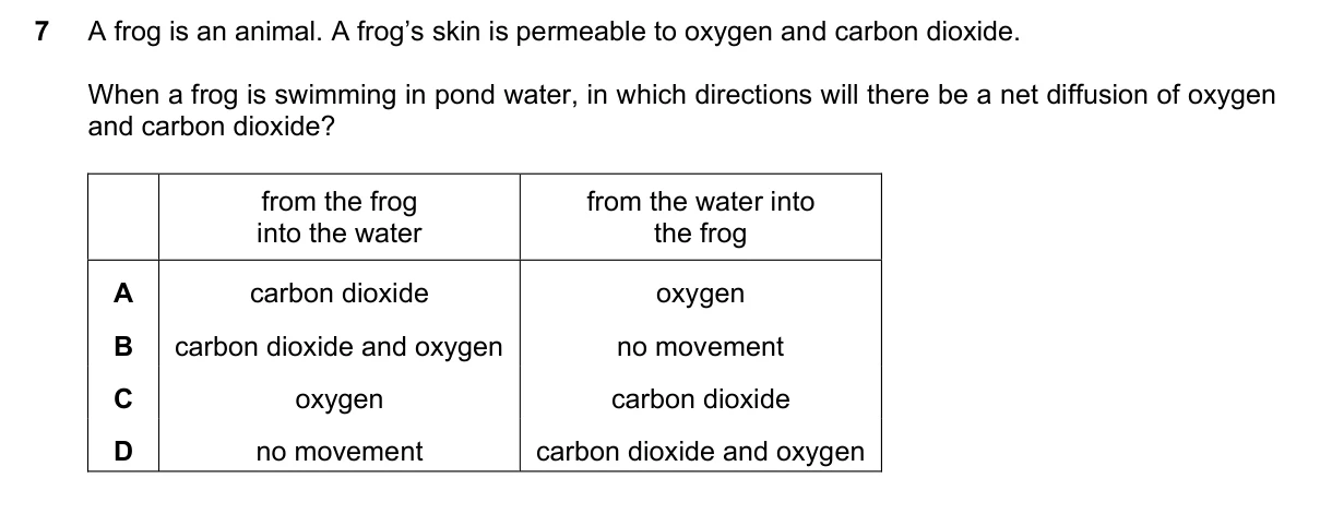 Question 7, March 2019, 0610 Paper 22