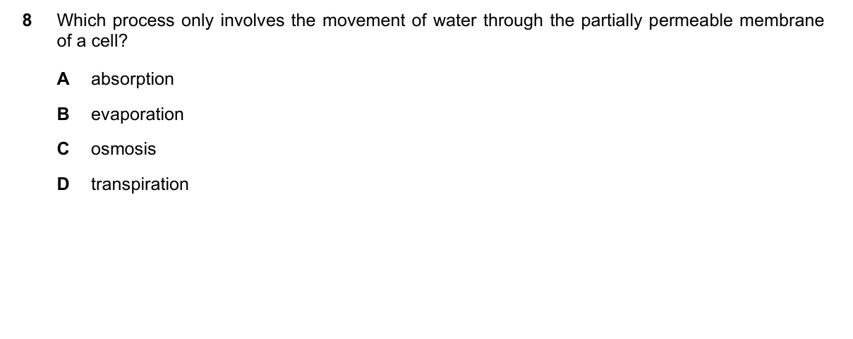 Question 8, March 2019, 0610 Paper 22