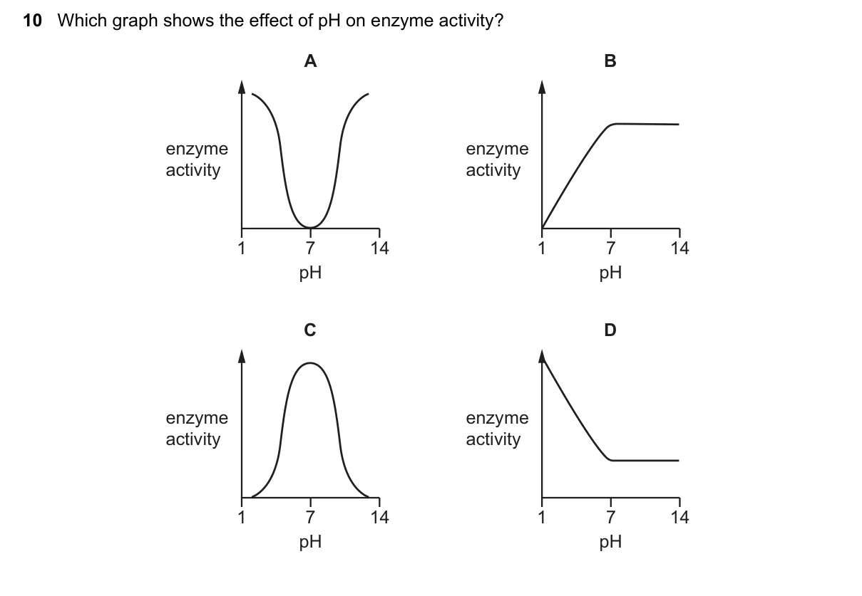Question 10, June 2019, 0610 Paper 11