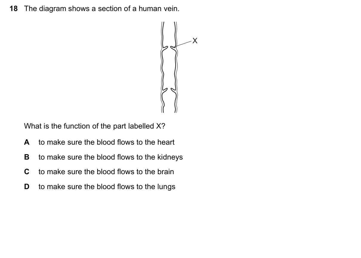 Question 18, June 2019, 0610 Paper 11