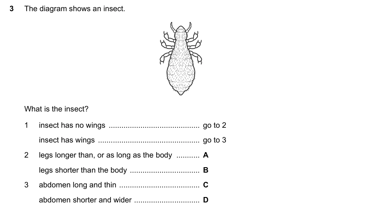 Question 3, June 2019, 0610 Paper 11