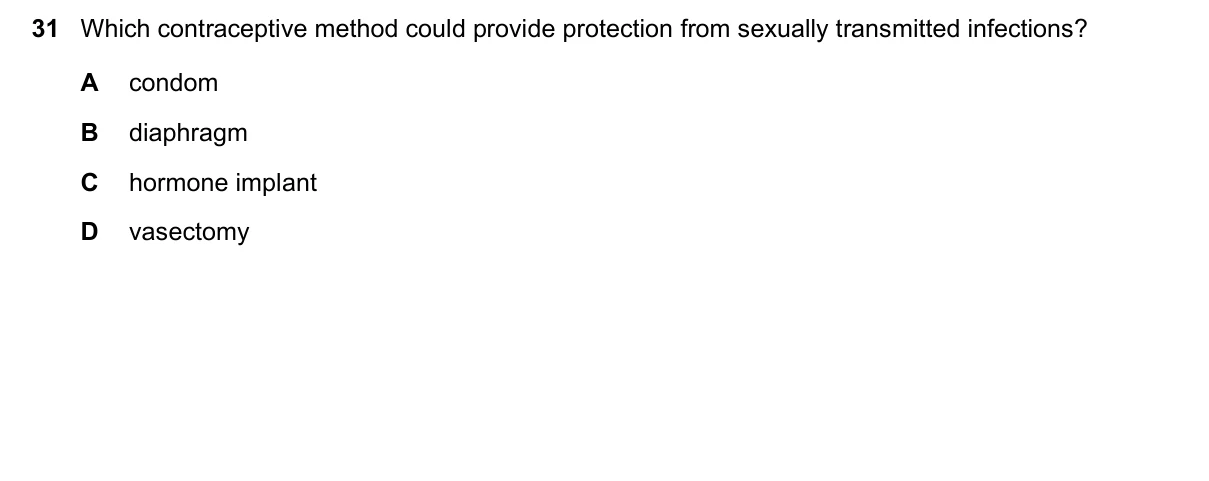 Question 31, June 2019, 0610 Paper 11