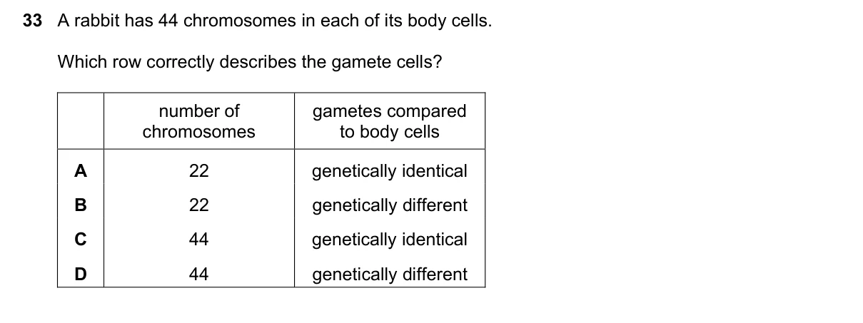 Question 33, June 2019, 0610 Paper 11