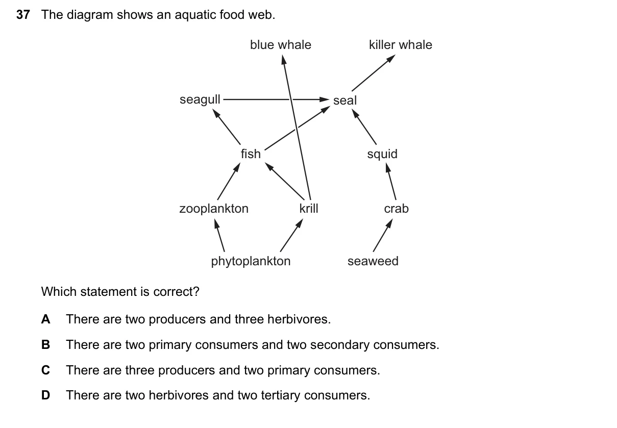 Question 37, June 2019, 0610 Paper 11
