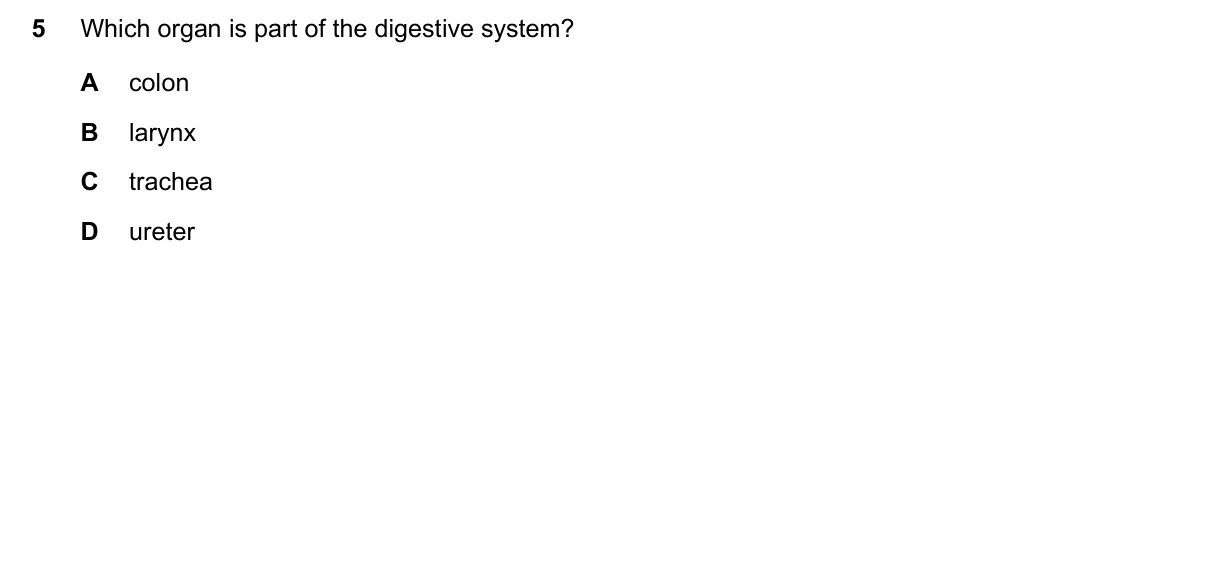 Question 5, June 2019, 0610 Paper 11