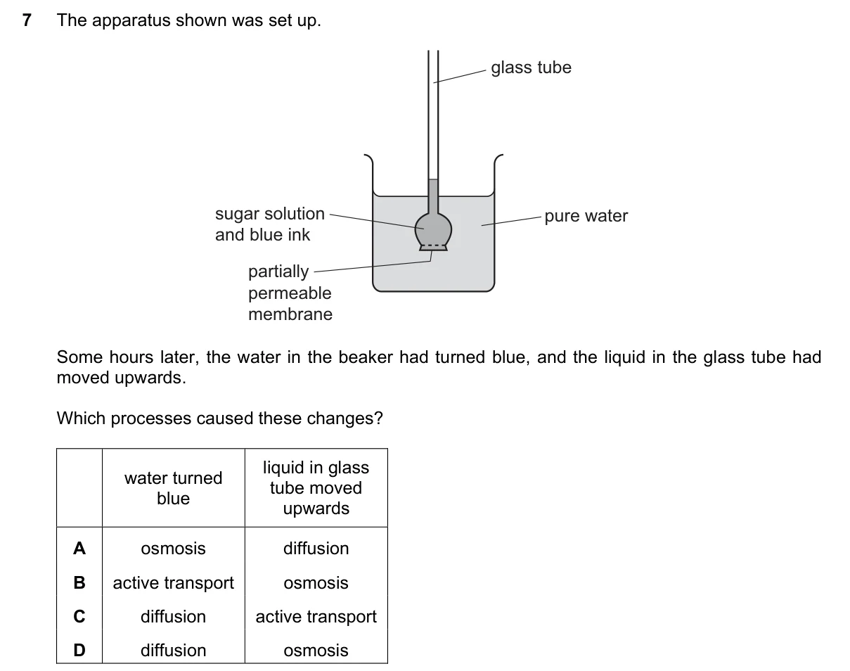 Question 7, June 2019, 0610 Paper 11