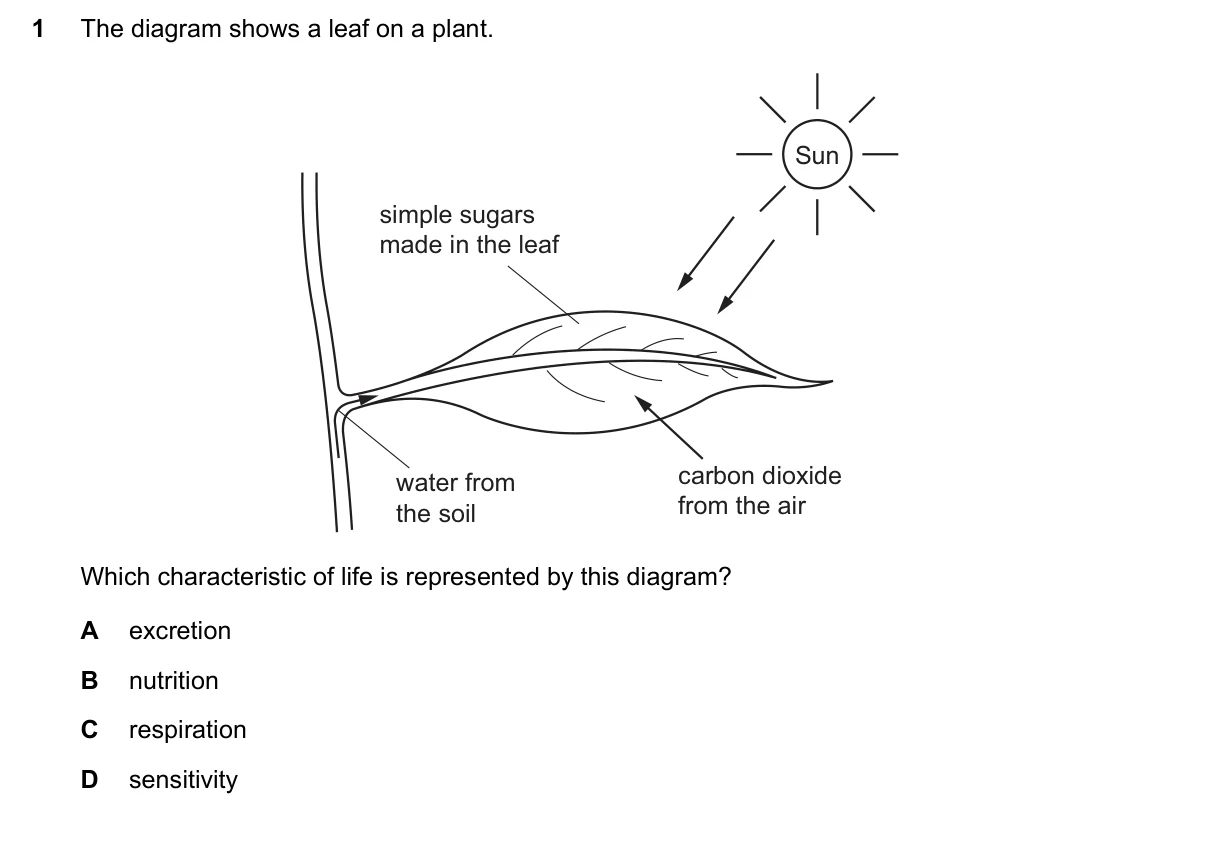 Question 1, June 2019, 0610 Paper 21