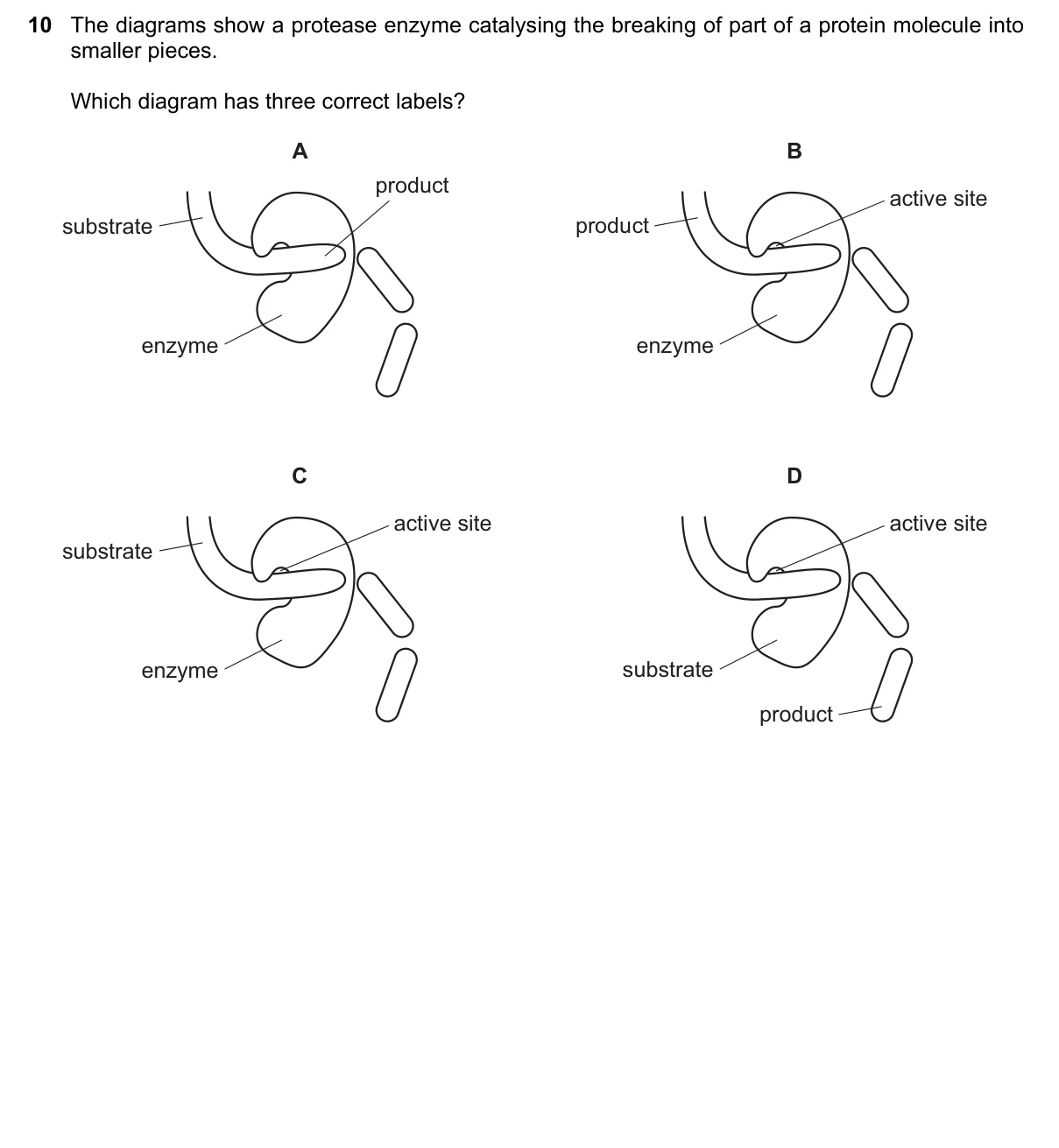 Question 10, June 2019, 0610 Paper 21