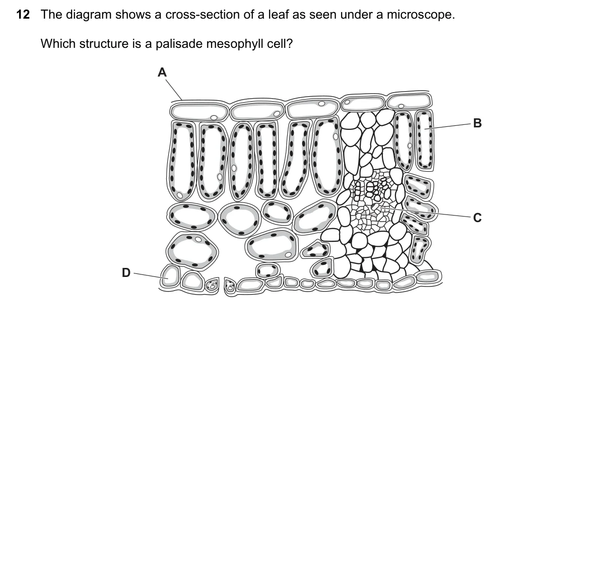 Question 12, June 2019, 0610 Paper 21