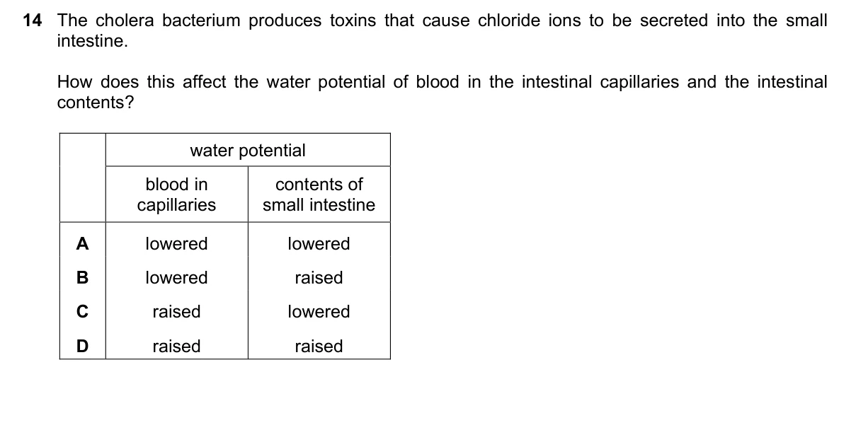 Question 14, June 2019, 0610 Paper 21