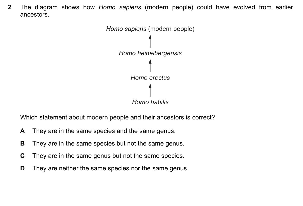 Question 2, June 2019, 0610 Paper 21