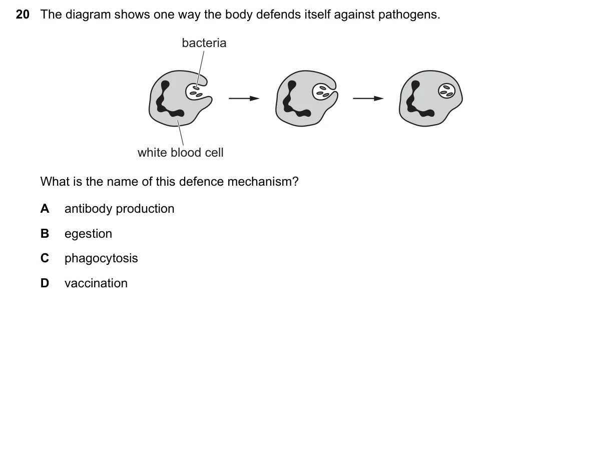 Question 20, June 2019, 0610 Paper 21