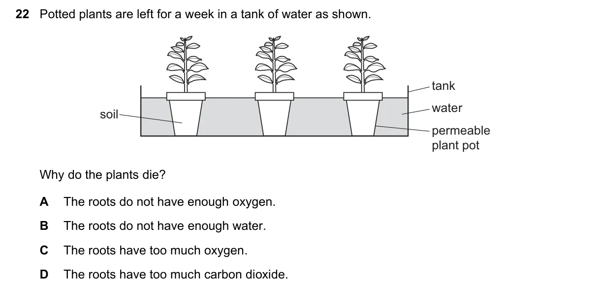 Question 22, June 2019, 0610 Paper 21
