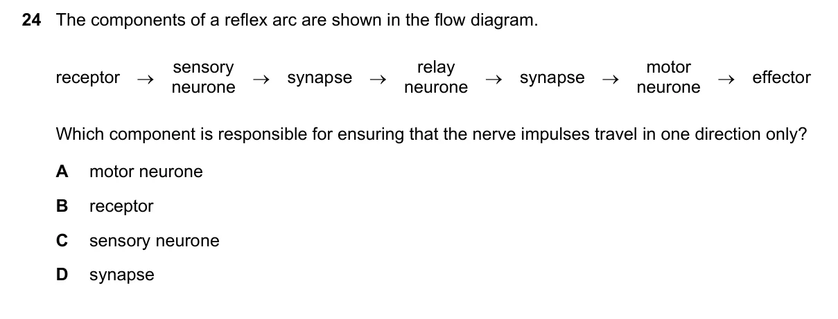 Question 24, June 2019, 0610 Paper 21