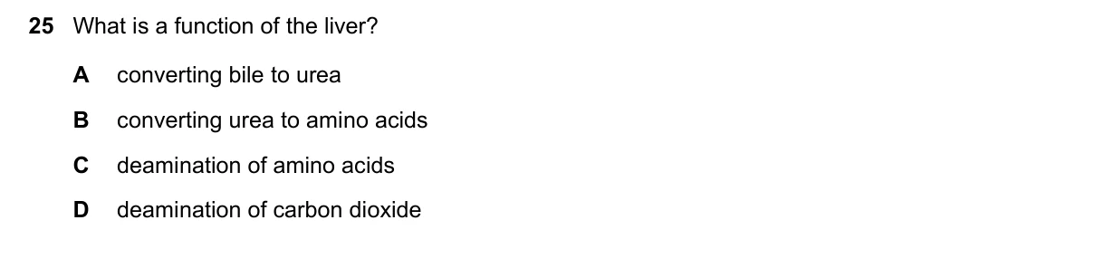 Question 25, June 2019, 0610 Paper 21