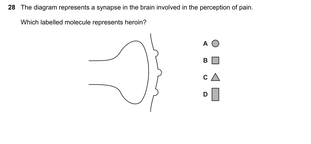 Question 28, June 2019, 0610 Paper 21
