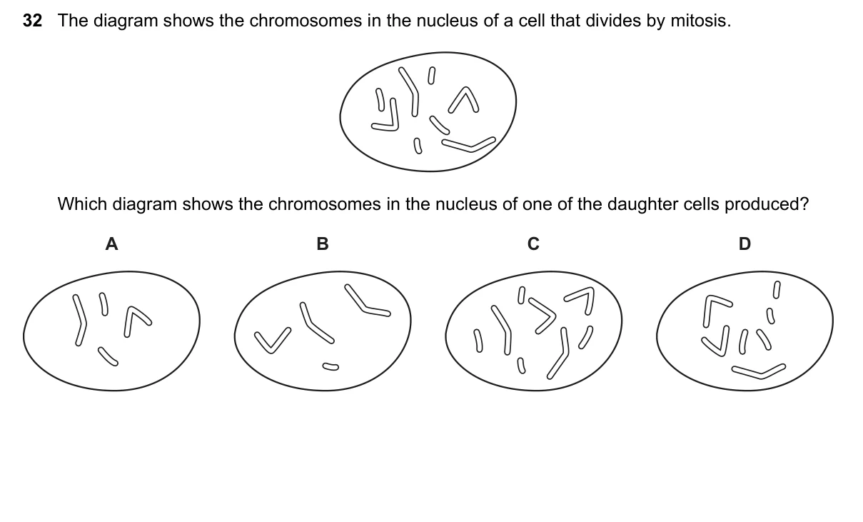 Question 32, June 2019, 0610 Paper 21