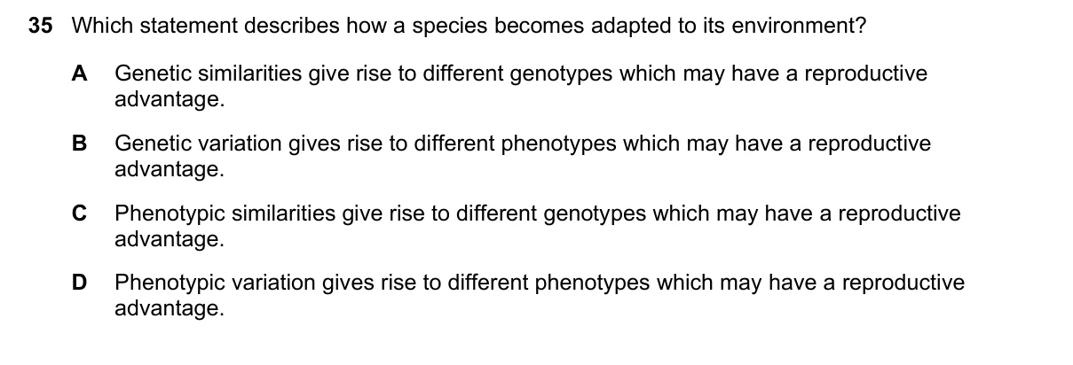 Question 35, June 2019, 0610 Paper 21
