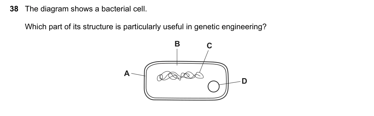 Question 38, June 2019, 0610 Paper 21