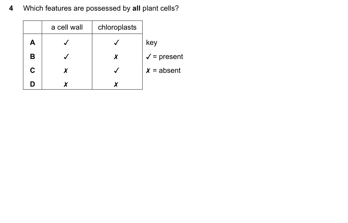 Question 4, June 2019, 0610 Paper 21