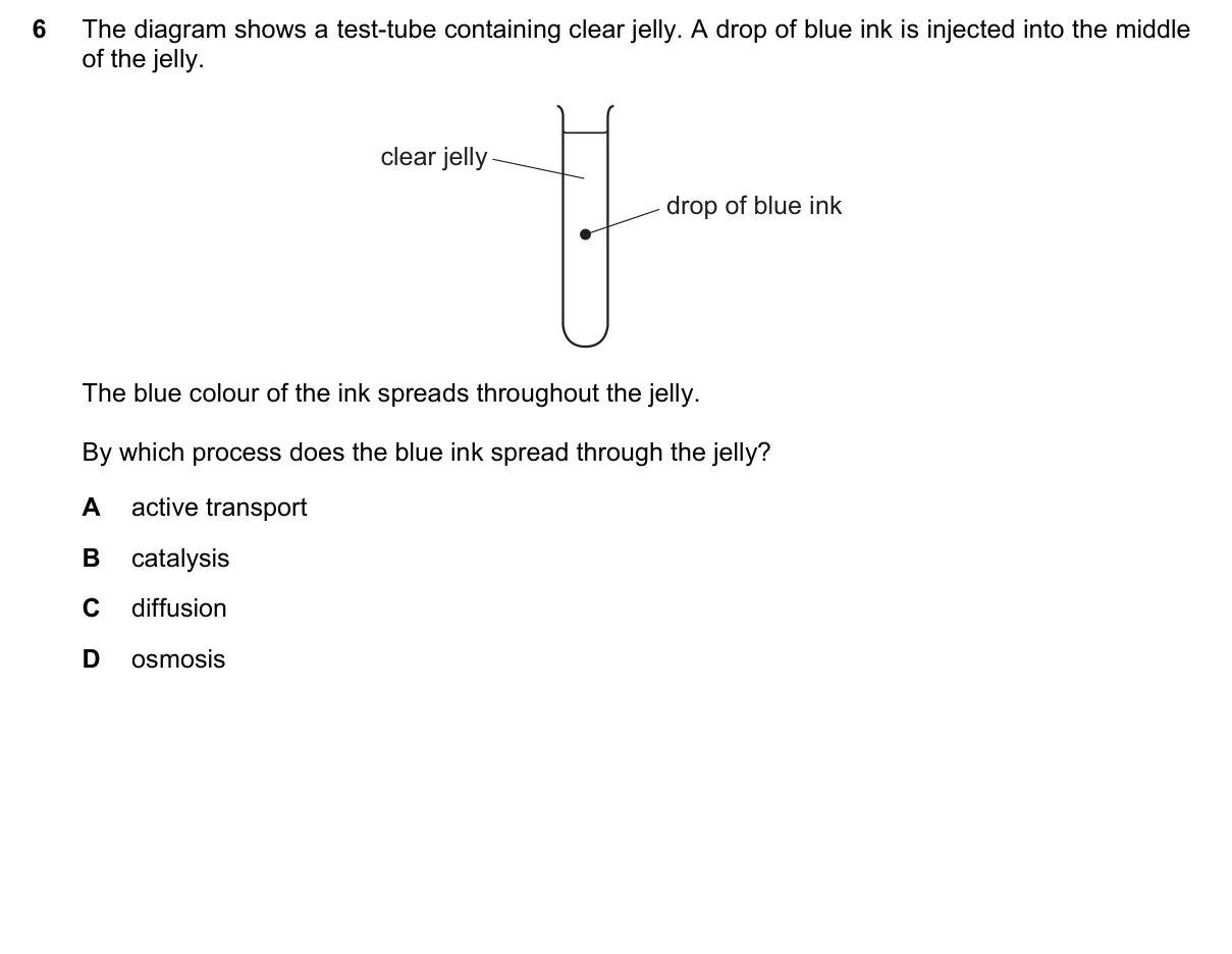 Question 6, June 2019, 0610 Paper 21
