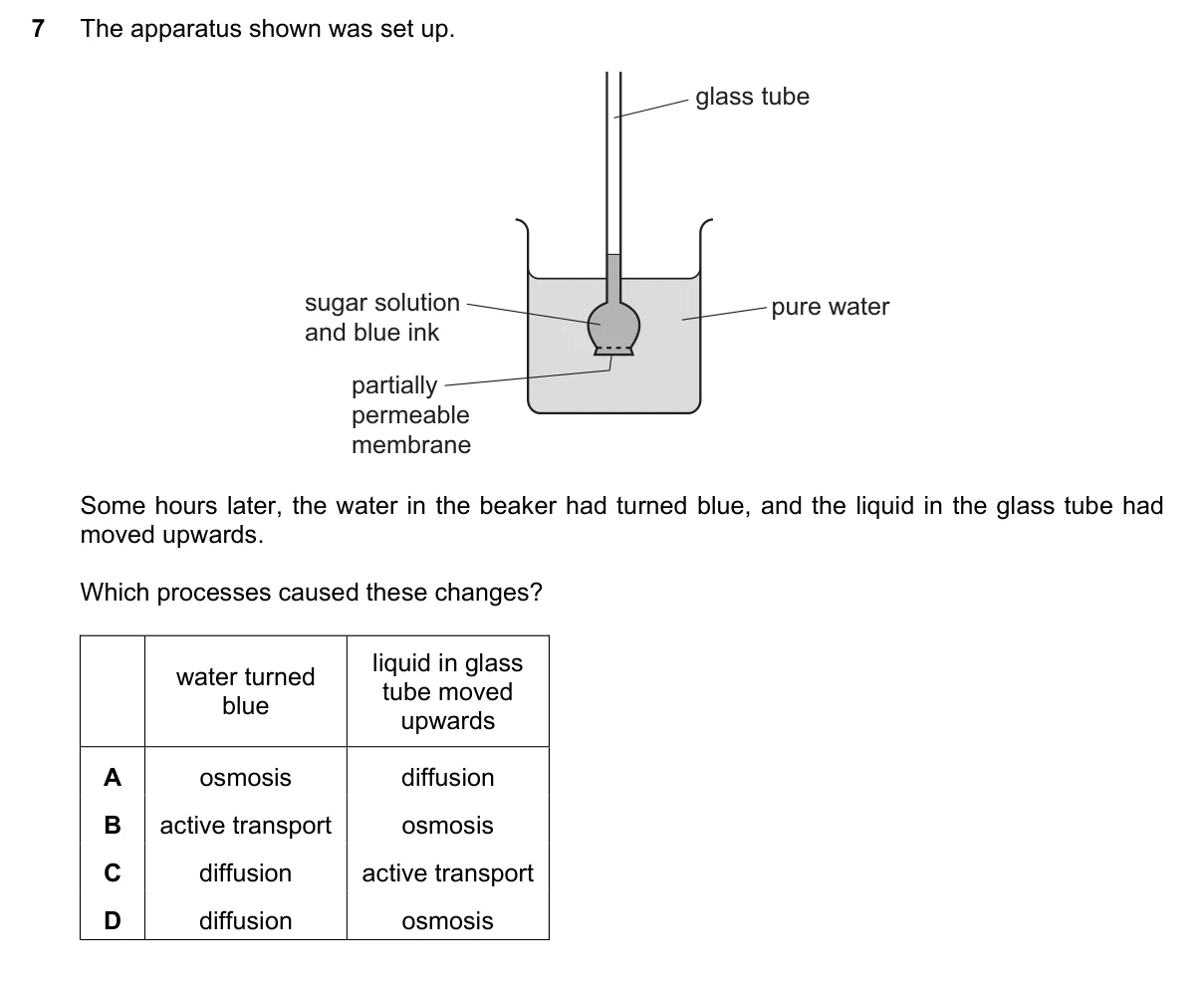 Question 7, June 2019, 0610 Paper 21
