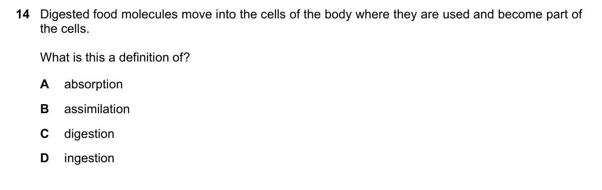 Question 14, June 2019, 0610 Paper 12