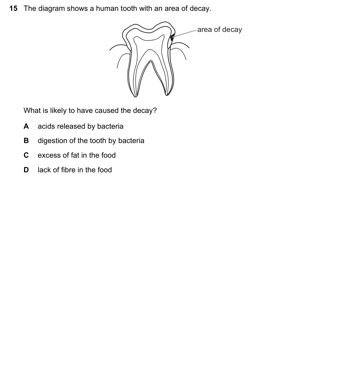 Question 15, June 2019, 0610 Paper 12