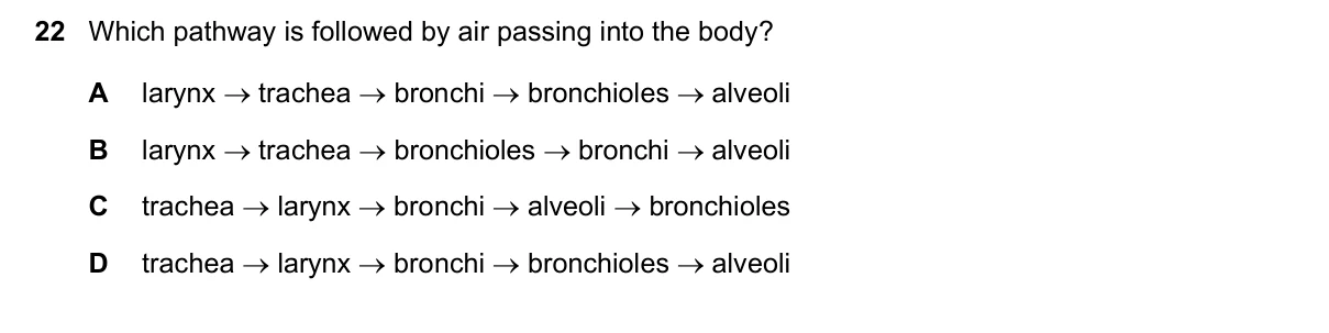 Question 22, June 2019, 0610 Paper 12