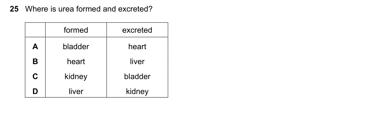 Question 25, June 2019, 0610 Paper 12