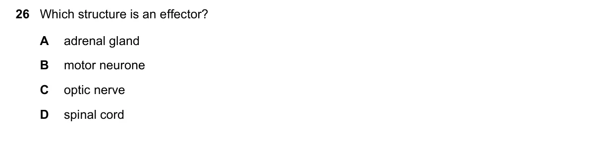 Question 26, June 2019, 0610 Paper 12