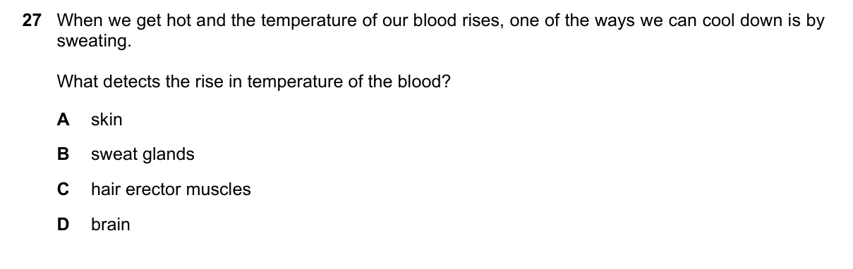 Question 27, June 2019, 0610 Paper 12