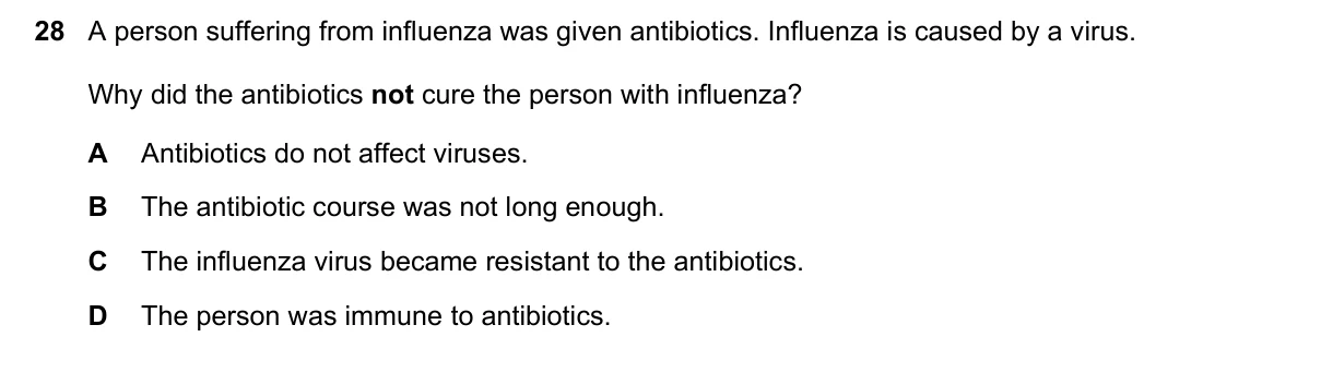Question 28, June 2019, 0610 Paper 12