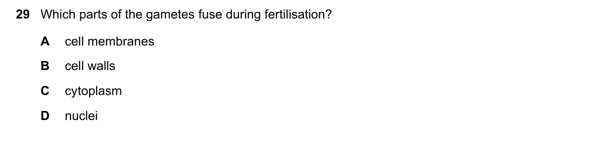 Question 29, June 2019, 0610 Paper 12