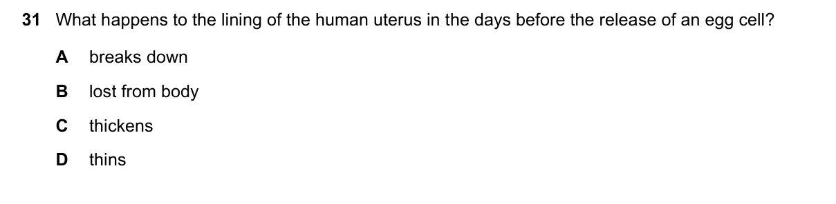 Question 31, June 2019, 0610 Paper 12