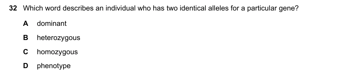 Question 32, June 2019, 0610 Paper 12