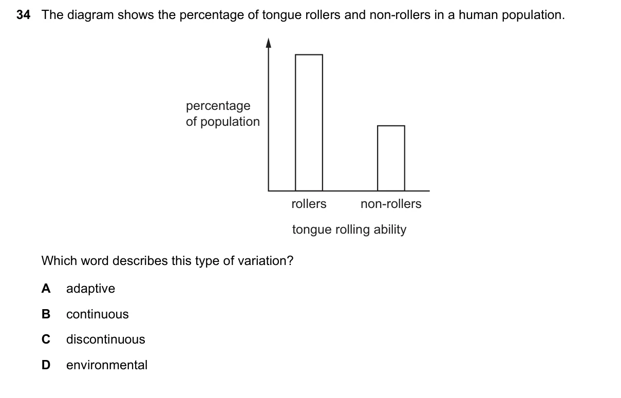 Question 34, June 2019, 0610 Paper 12