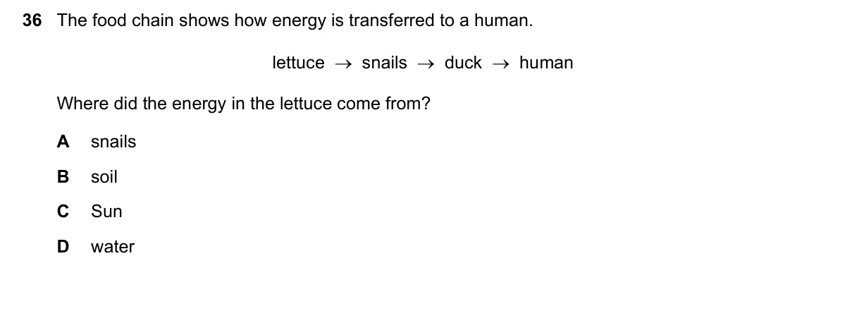 Question 36, June 2019, 0610 Paper 12