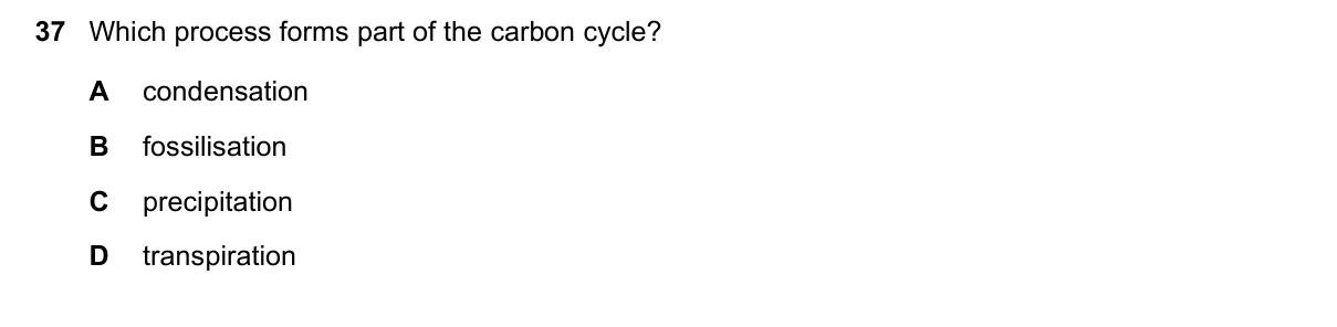 Question 37, June 2019, 0610 Paper 12